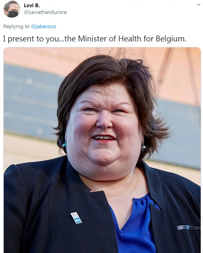 Belgium Health Minister
