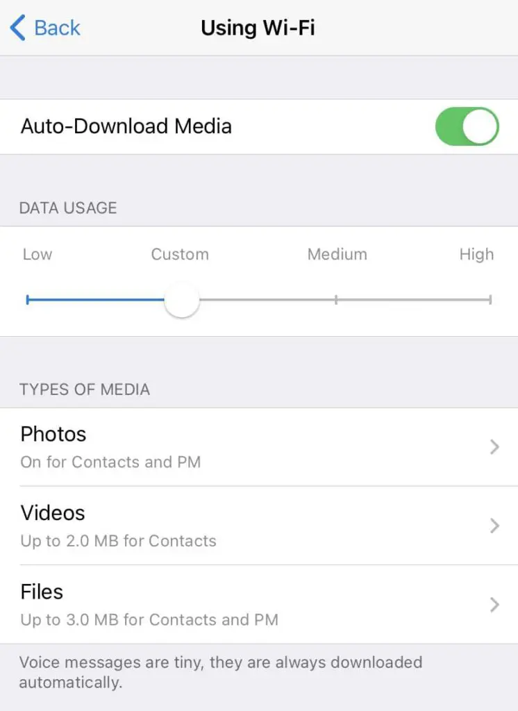 Telegram Auto-Download Media Settings